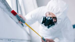 Best Residential Pest Control  in Mmerce City, CO